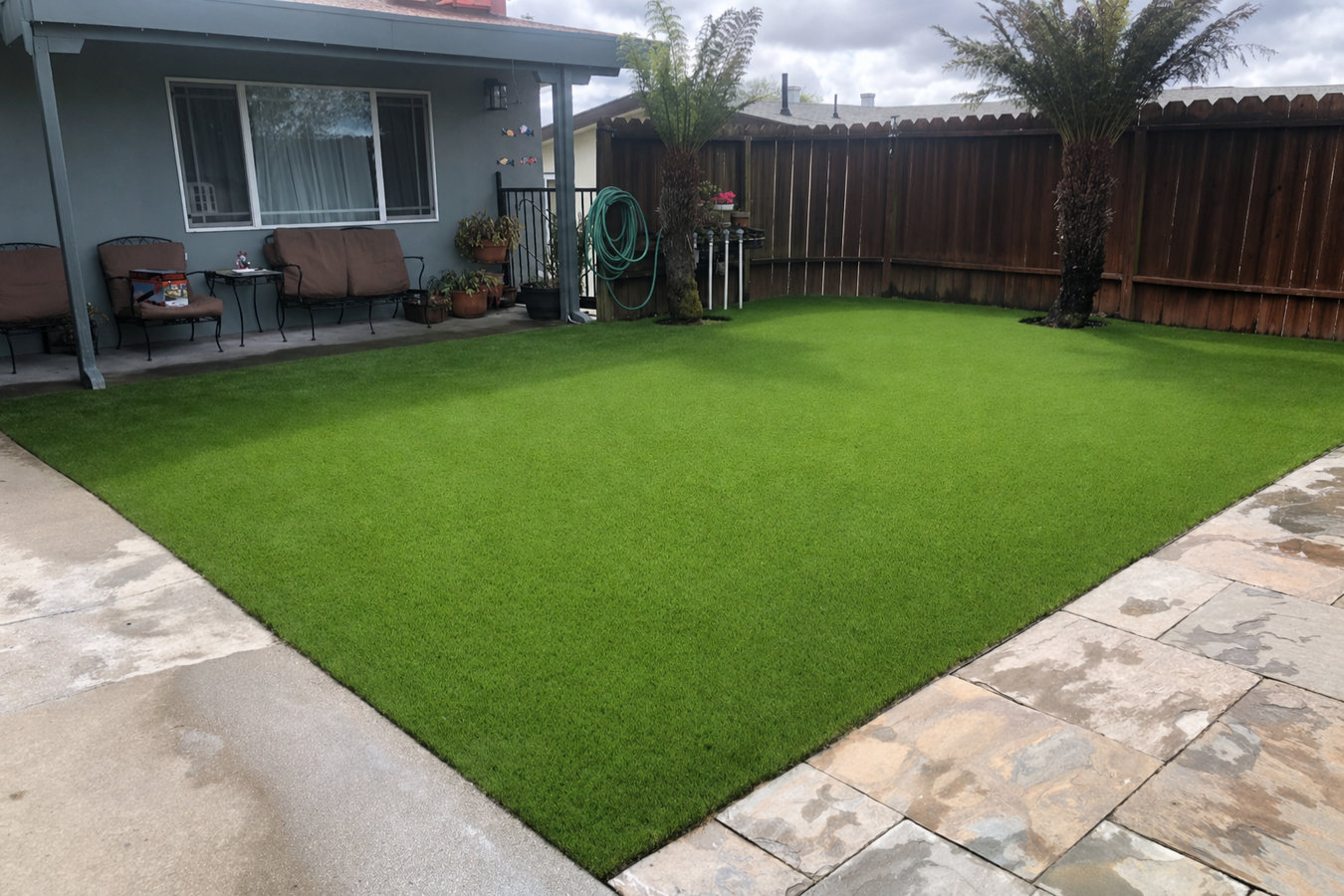 Drought-tolerant turf