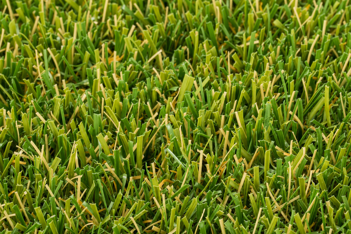 Synthetic lawn turf